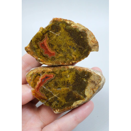Hardal Sarısı ve Zeytin Yeşili Karadeniz Çiçeği Akik