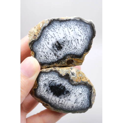 Mistik Bölünme: Dendritik Opal ve Dendritik Agat - Merlinite Harikaları!