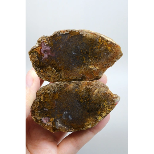 Süslü Altın Oker ve Bronz Tüy Siyah Deniz Akik Taşı ile Yumuşak Pembe Surlar