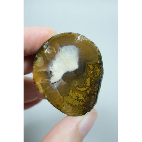 Polished Black Sea Plume Agate Pair, Ochre Yellow, White Fan & Mustard Gold