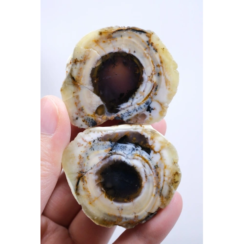 Polished Dendritic Opal Pair – Concentric Banding with Smoky Core and Rust-Orange Dendrites, 77g