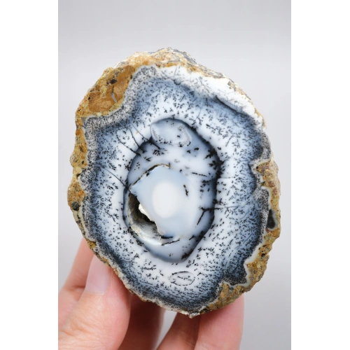 Polierter Merlinit-Geode - Dendritischer Opal mit blauen Bändern & Zentraler Druzy-Höhle, 194g
