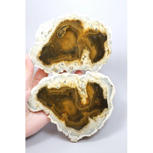 Raro par de ópalo dendrítico marrón con inclusiones dendríticas en forma de ramas oscuras, 797g