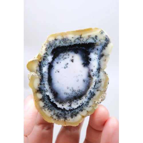 Nadir Dendritik Opal Kış Ormanı Dilimi - Cilalı Bal, Mavi ve Beyaz Merlinite