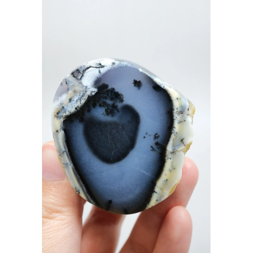 Nadir Dendritik Opal Kış Ormanı Dilimi - Cilalanmış Olağanüstü Bal, Mavi ve Beyaz