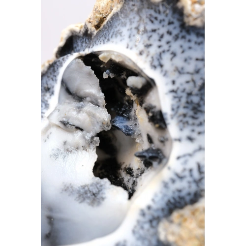 Rare Merlinite (Dendritic Opal) Geode – Natural 3D Tree-Like Dendrites, 58g