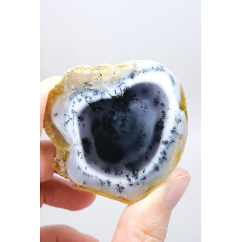 Nadir Kış Ormanı Merlinit Dilimi (Mavi ve Beyaz Dendritik Opal) - Cilalanmış Portal Koleksiyoncuya Özel Örnek (68g)