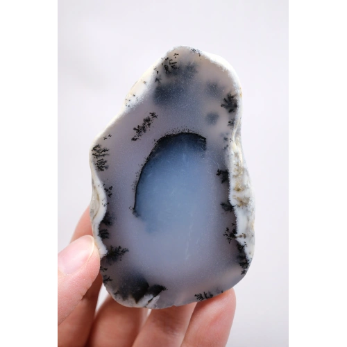 Sky-Blue Dendritic Opal Slab – Translucent Blue Core with Tree-Like Black Dendrites, 142g