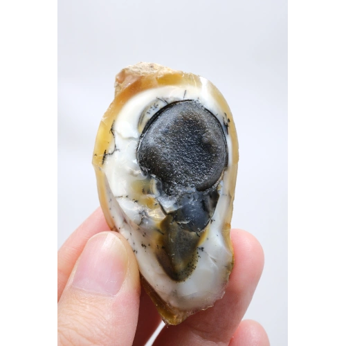 小さな黄色の樹枝状オパールゲオードで、自然な「目」の形成と黒いドルージーコアがあり、38g