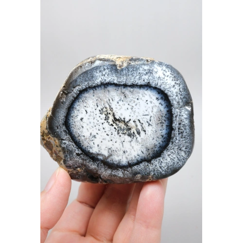 White & Smoky Gray Merlinite – Dendritic Opal Slice with Orbital Black Manganese Ring, 213g