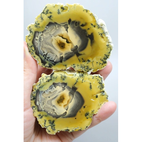 Sarı Dendritik Opal - Mavi Kalsedon ve Bal Opali Muhteşem Parlatılmış Çift | Fikir & Dengelendirme Taşı
