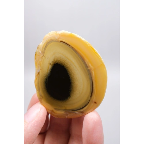 Sarı Dendritik Opal (Merlinit) Cilalanmış Dilim - Siyah Delik Dendritler | Sezgi, Gölge Çalışması ve İçgörü Taşı, 48g