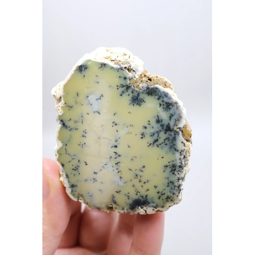 Sarı Dendritik Opal Tekli | Merlinite Örneği, Siyah Dendritler ile, 90gr