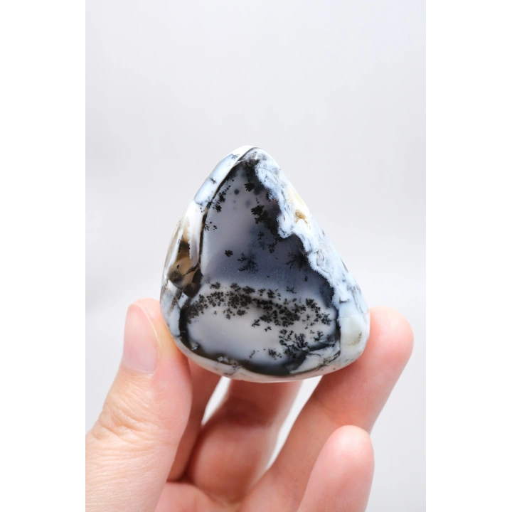 Alkimik Mavi ve Altın Birleşimi: Cilalı Merlinit (Dendritik Opal) Numunesi