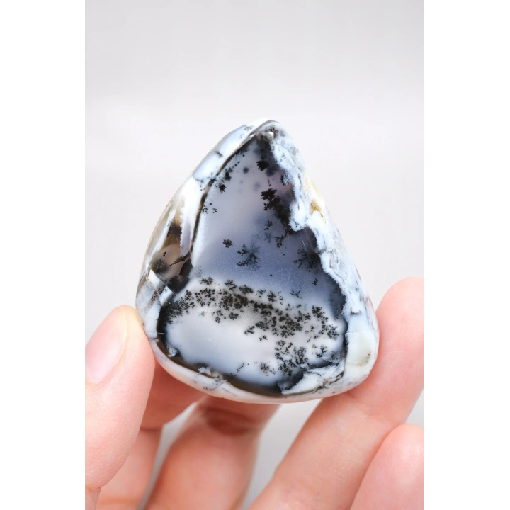 Alkimik Mavi ve Altın Birleşimi: Cilalı Merlinit (Dendritik Opal) Numunesi