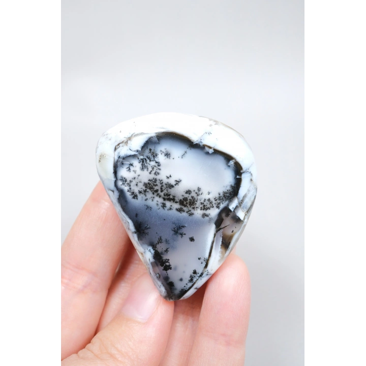 Alkimik Mavi ve Altın Birleşimi: Cilalı Merlinit (Dendritik Opal) Numunesi