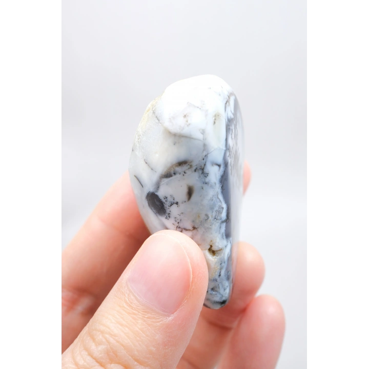 Alkimik Mavi ve Altın Birleşimi: Cilalı Merlinit (Dendritik Opal) Numunesi