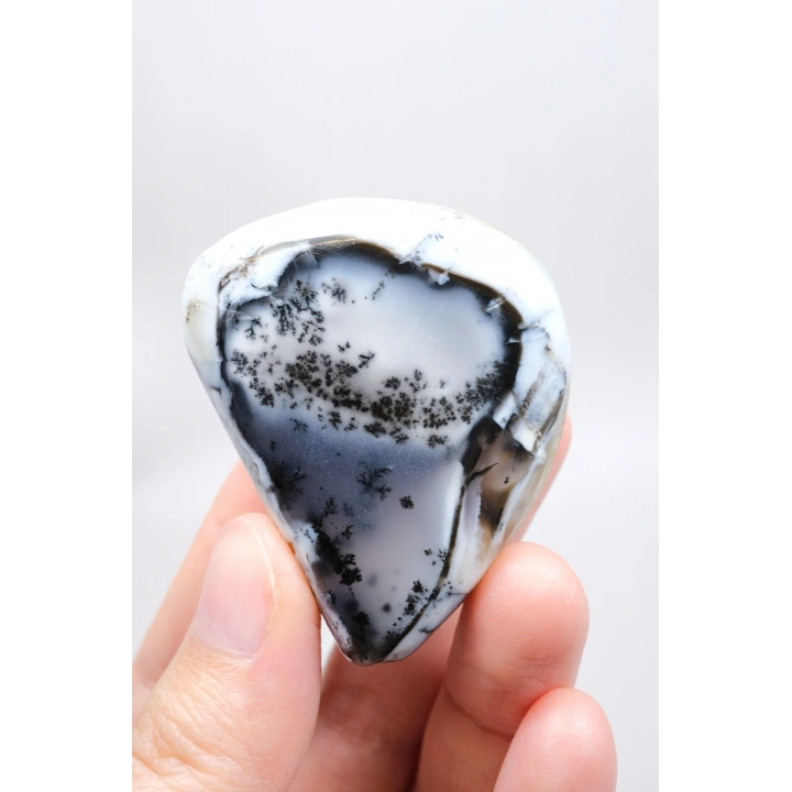 Alkimik Mavi ve Altın Birleşimi: Cilalı Merlinit (Dendritik Opal) Numunesi