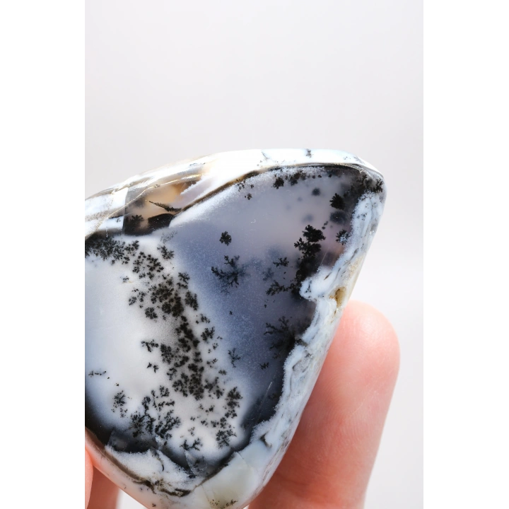 Alkimik Mavi ve Altın Birleşimi: Cilalı Merlinit (Dendritik Opal) Numunesi