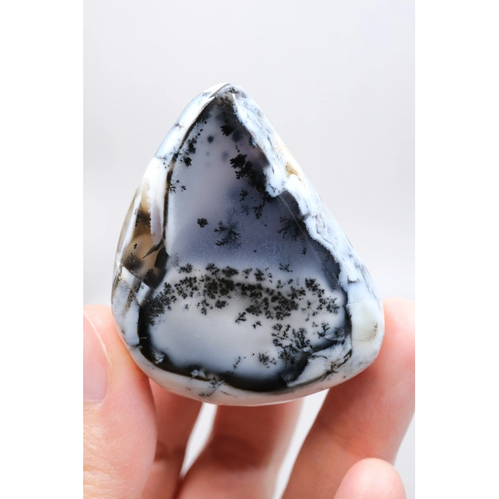 Alkimik Mavi ve Altın Birleşimi: Cilalı Merlinit (Dendritik Opal) Numunesi