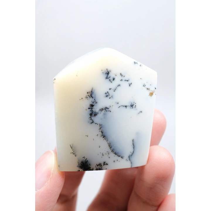 Piedra de Bolsillo Pulida en Forma Libre Merlinita en Blanco y Negro - Ópalo Dendrítico de Nieve Azul-Negro