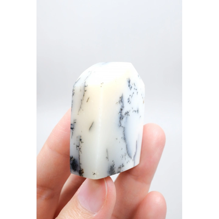 Piedra de Bolsillo Pulida en Forma Libre Merlinita en Blanco y Negro - Ópalo Dendrítico de Nieve Azul-Negro