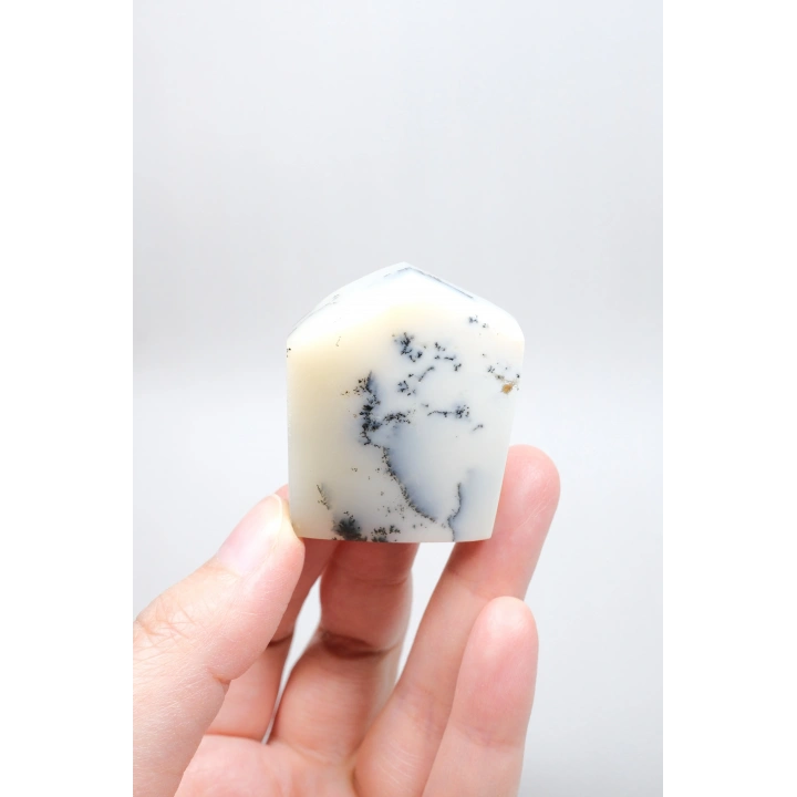 Piedra de Bolsillo Pulida en Forma Libre Merlinita en Blanco y Negro - Ópalo Dendrítico de Nieve Azul-Negro