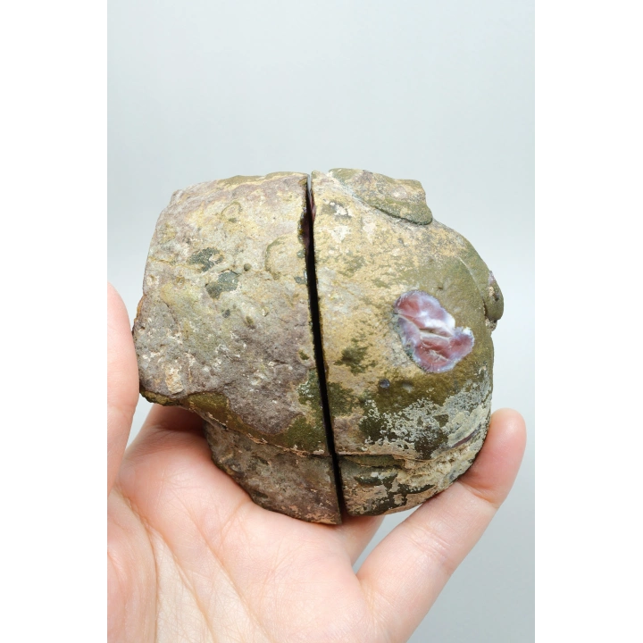 Karadeniz Tüy Agatı Çifti - Canlı Yanmış Turuncu ve Hardal Sarısı Yosun Agatı ile Taşlı, 297g