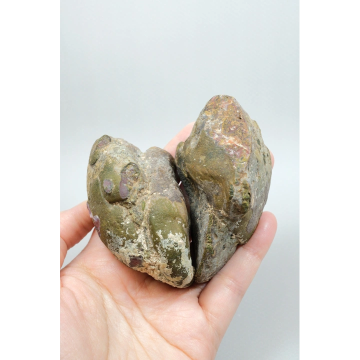 Karadeniz Tüy Agatı Çifti - Canlı Yanmış Turuncu ve Hardal Sarısı Yosun Agatı ile Taşlı, 297g
