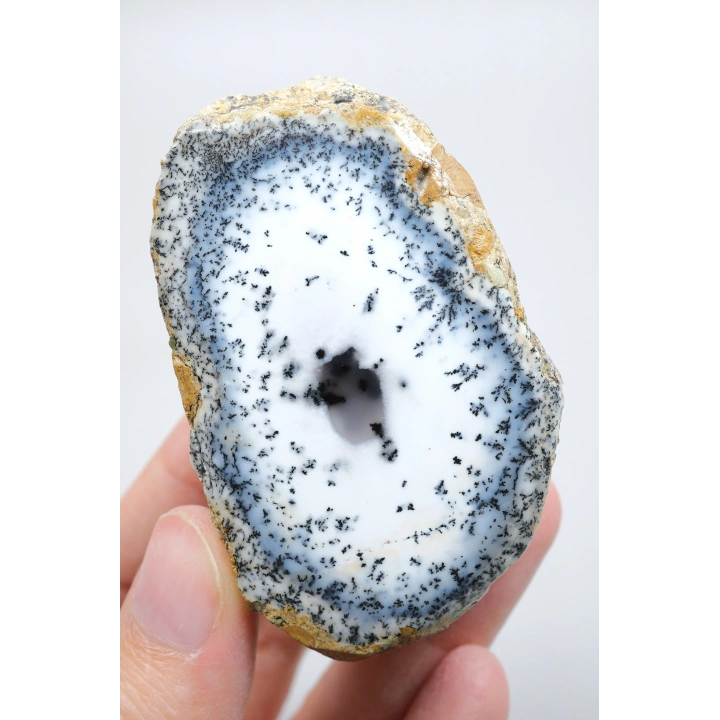 Mavi ve Kar Beyaz Merlinit - Dendritik Opal, 213g