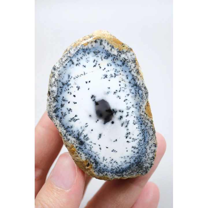 Mavi ve Kar Beyaz Merlinit - Dendritik Opal, 213g