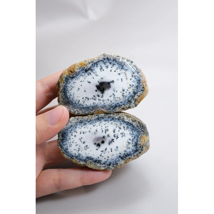 Mavi ve Kar Beyaz Merlinit - Dendritik Opal, 213g