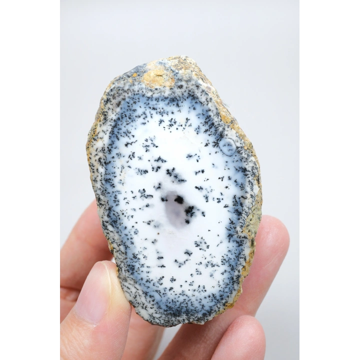 Mavi ve Kar Beyaz Merlinit - Dendritik Opal, 213g