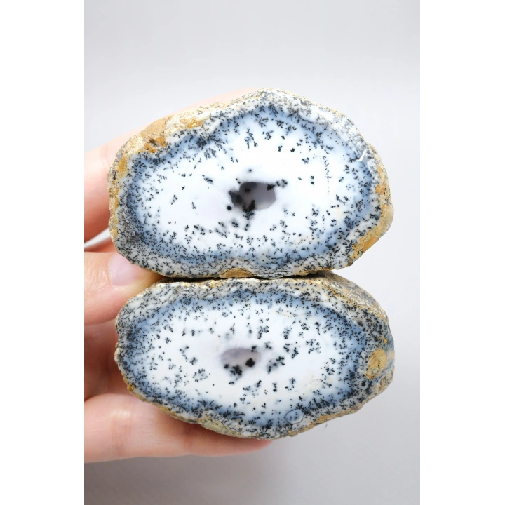 Mavi ve Kar Beyaz Merlinit - Dendritik Opal, 213g