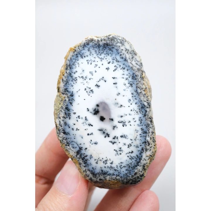 Mavi ve Kar Beyaz Merlinit - Dendritik Opal, 213g