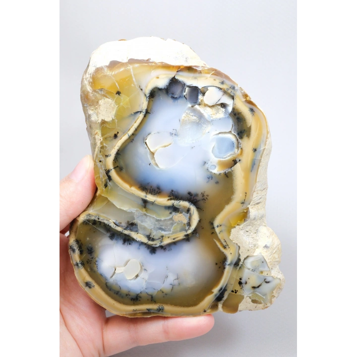 青と黄色の樹枝状オパールスライス（マーリナイト）- 両面専門的に磨かれた、330g
