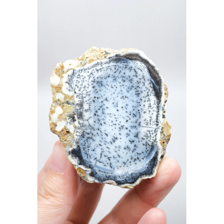 Mavi Dendritik Opal Çifti • Siyah ve Beyaz İç İçe Opal