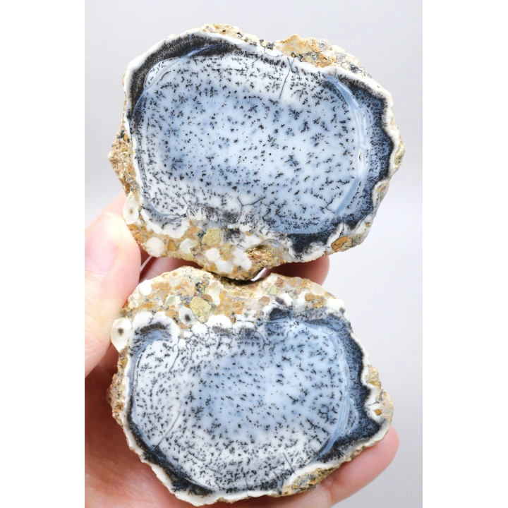 Mavi Dendritik Opal Çifti • Siyah ve Beyaz İç İçe Opal