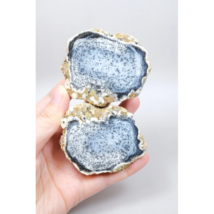 Mavi Dendritik Opal Çifti • Siyah ve Beyaz İç İçe Opal
