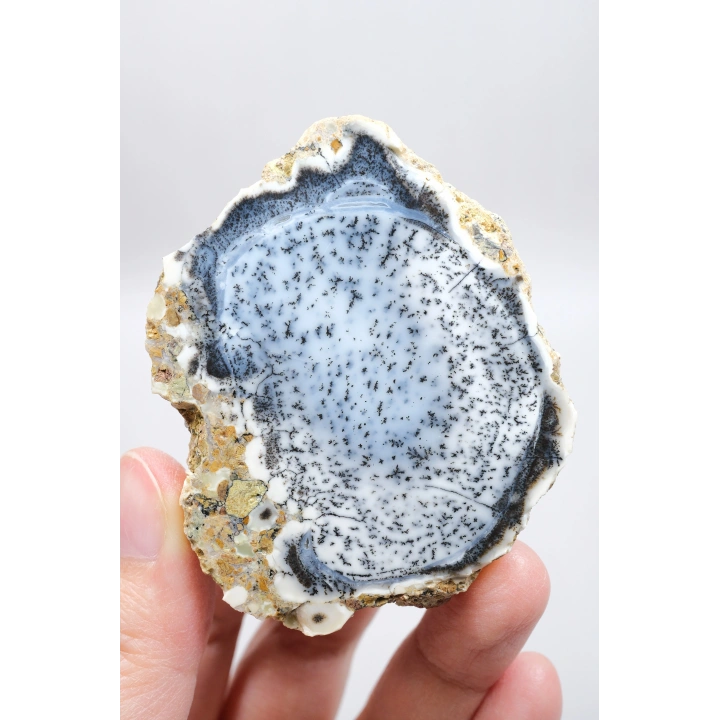 Mavi Dendritik Opal Çifti • Siyah ve Beyaz İç İçe Opal