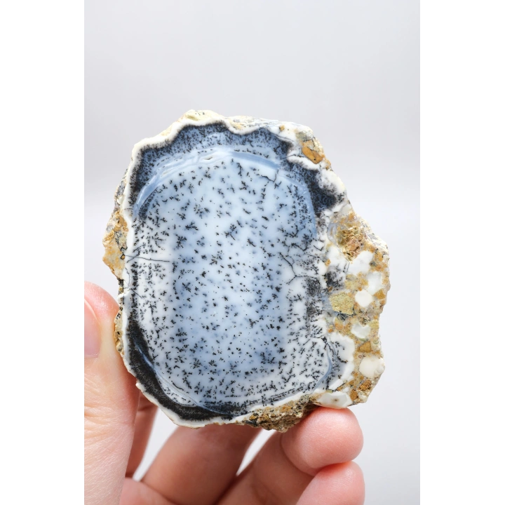 Mavi Dendritik Opal Çifti • Siyah ve Beyaz İç İçe Opal