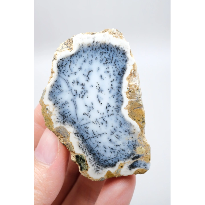 Mavi Dendrit Opal Çifti • Beyaz İçeriğe Sahip Opal