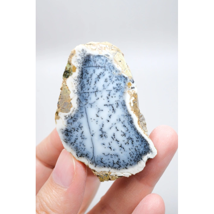 Mavi Dendrit Opal Çifti • Beyaz İçeriğe Sahip Opal