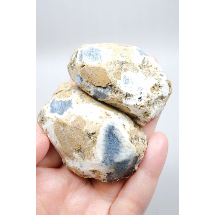 Mavi Dendrit Opal Çifti • Beyaz İçeriğe Sahip Opal
