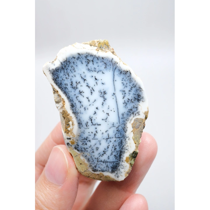 Mavi Dendrit Opal Çifti • Beyaz İçeriğe Sahip Opal