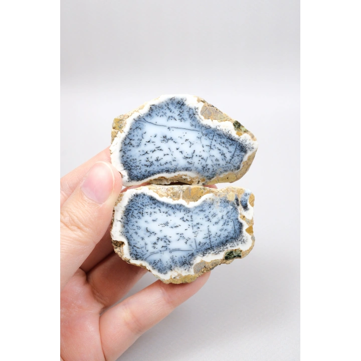 Mavi Dendrit Opal Çifti • Beyaz İçeriğe Sahip Opal
