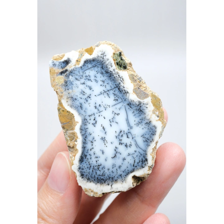 Mavi Dendrit Opal Çifti • Beyaz İçeriğe Sahip Opal