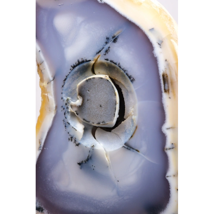 Blue Yellow Dendritic Opal Slice (Merlinite) – Polished Both Sides, Natural Eye Core, 327g