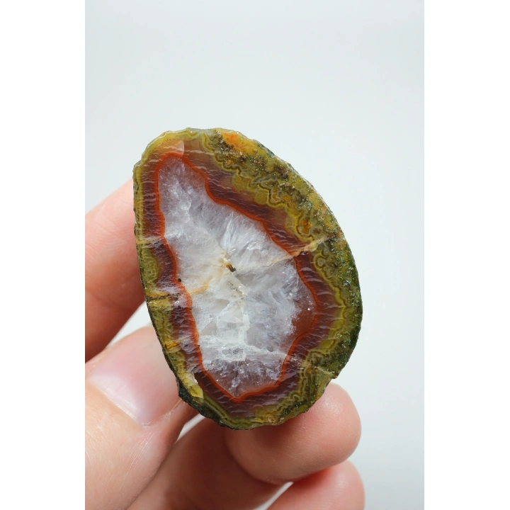 Tuğla Kırmızısı ve Zeytin Yeşili Bantlı Siyah Deniz Agatı Çifti