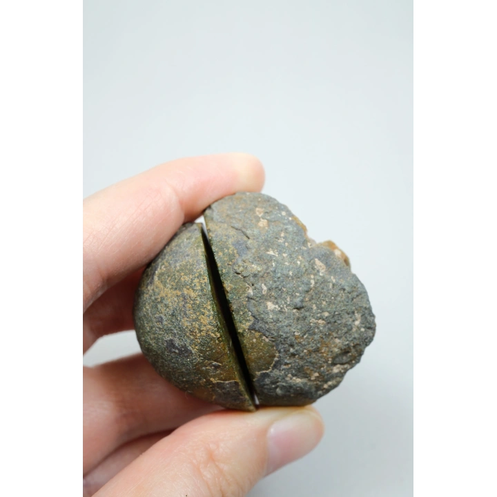 Tuğla Kırmızısı ve Zeytin Yeşili Bantlı Siyah Deniz Agatı Çifti